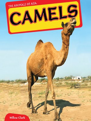 cover image of Camels